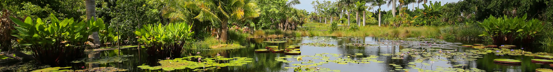 Botanic Garden In Florida 1920X650